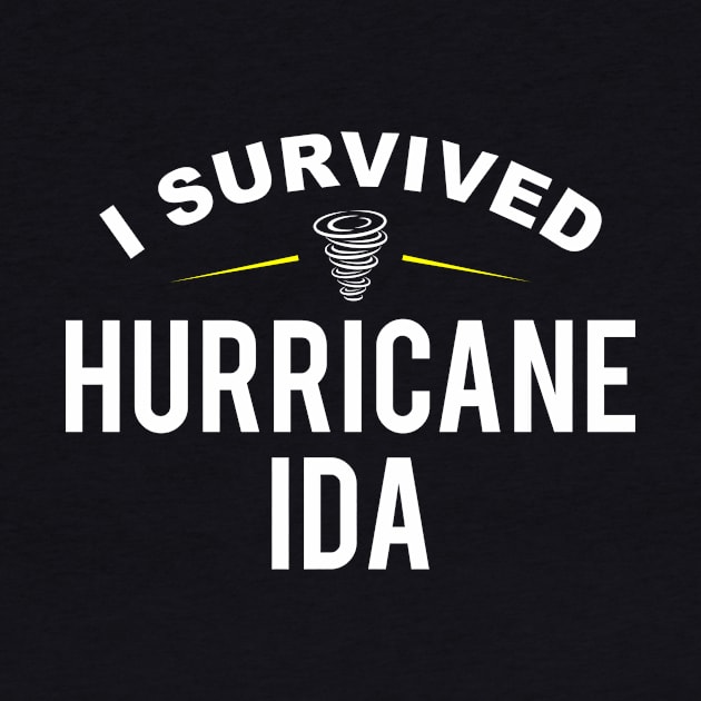 I Survived Hurricane Ida by oskibunde